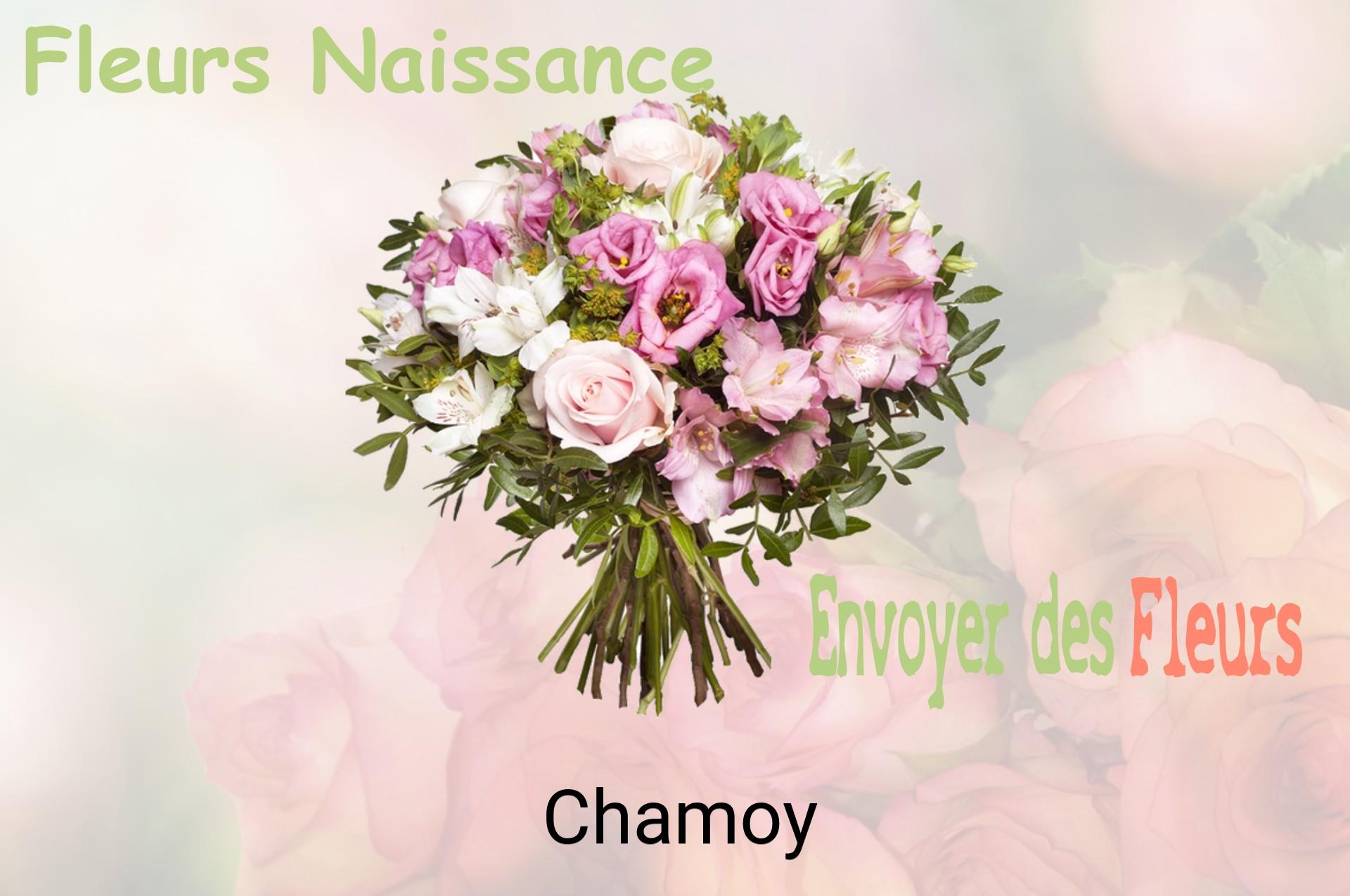 Bouquet de fleurs de naissance livré à Chamoy